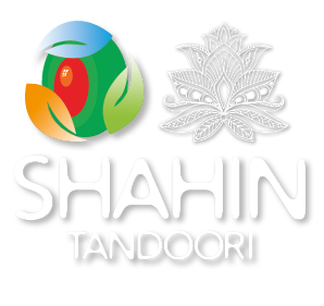 Shahin Logo Light